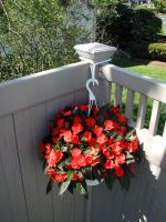 Fence Flower Hangers